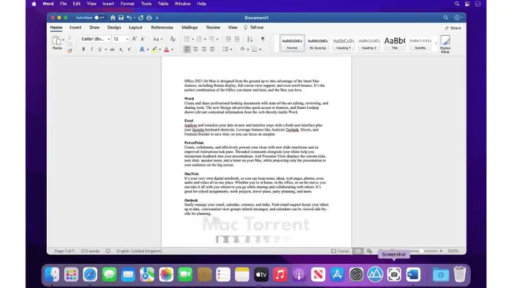 Microsoft Office 2024 v16.107 for Mac