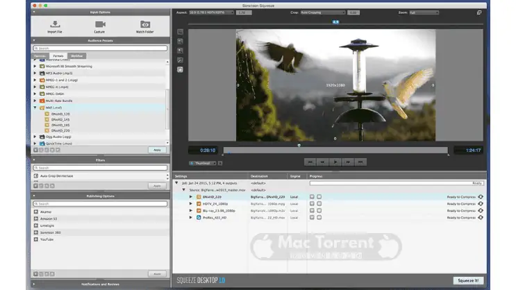 Sorenson Squeeze Desktop Pro mac